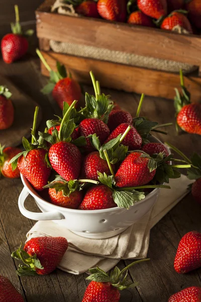 원시 유기농 긴 줄기 딸기 — 스톡 사진