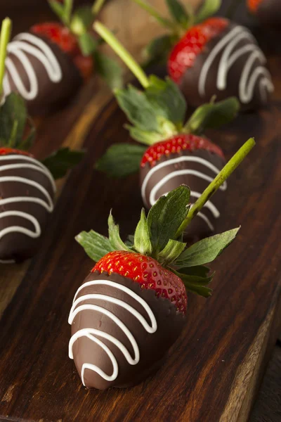 Hausgemachte Erdbeeren in Schokolade getaucht — Stockfoto