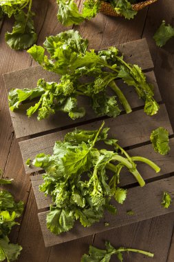 Organic Raw Green Broccoli Rabe Rapini clipart