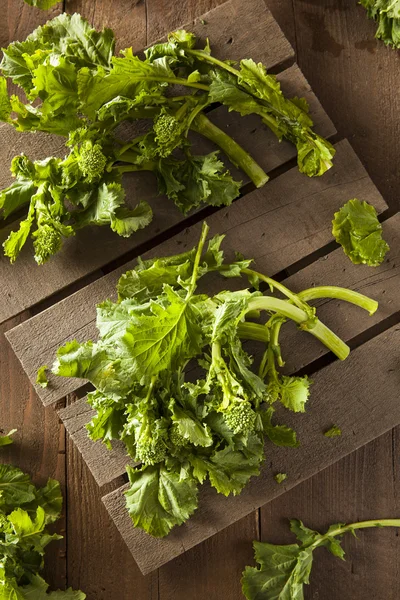 Organic Raw Green Broccoli Rabe Rapini — Stock Photo, Image