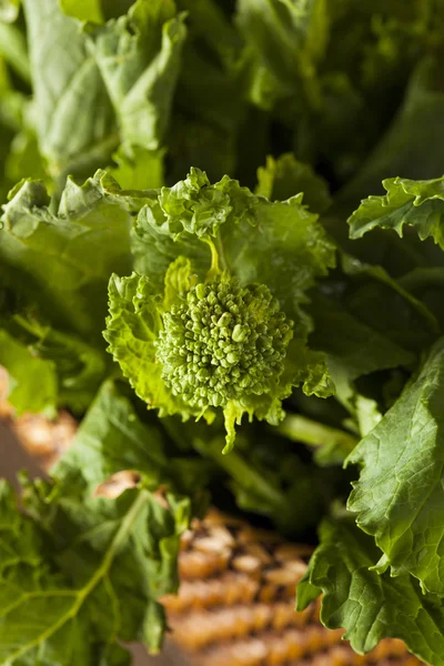 Ekologisk rå gröna Broccoli Rabe Rapini — Stockfoto