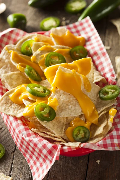 cheddar cheese nachos