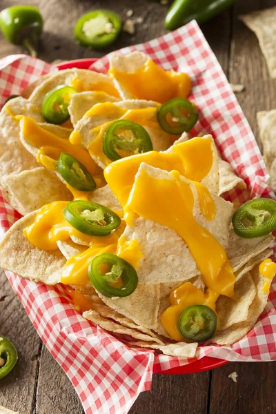 Homemade Nachos with Cheddar Cheese — Stock Photo, Image