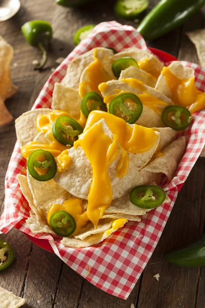 Hausgemachte Nachos mit Cheddar-Käse — Stockfoto