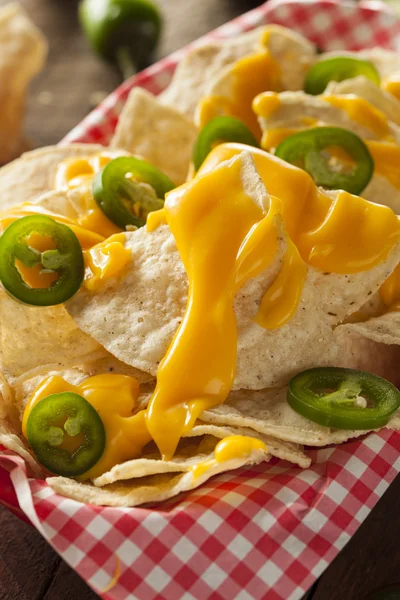 Hausgemachte Nachos mit Cheddar-Käse — Stockfoto