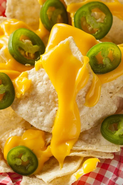 Hausgemachte Nachos mit Cheddar-Käse — Stockfoto