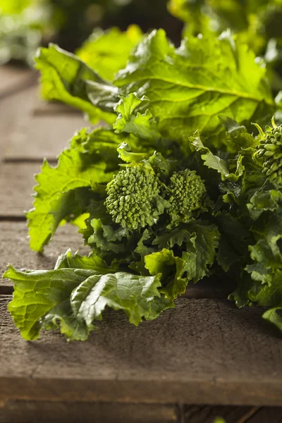 Ekologisk rå gröna Broccoli Rabe Rapini — Stockfoto