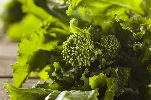 Ekologisk rå gröna Broccoli Rabe Rapini — Stockfoto