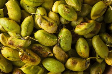 Organik kavrulmuş taze nohut