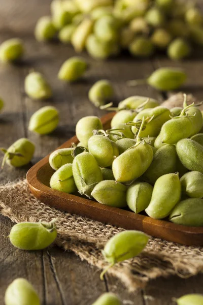 Granos de Garbanzo verdes orgánicos frescos crudos —  Fotos de Stock