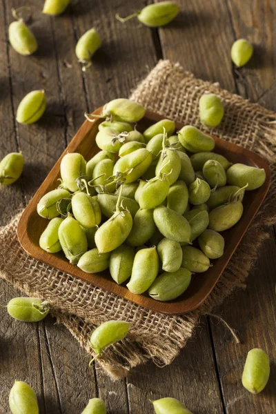 Ruwe verse biologische groene Garbanzo bonen — Stockfoto