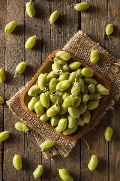 Raw Fresh Organic Green Garbanzo Beans — Stock Photo, Image