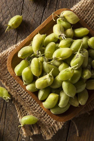 Raw Fresh Organic Green Garbanzo Beans — Stock Photo, Image