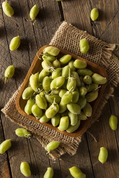 Ruwe verse biologische groene Garbanzo bonen — Stockfoto