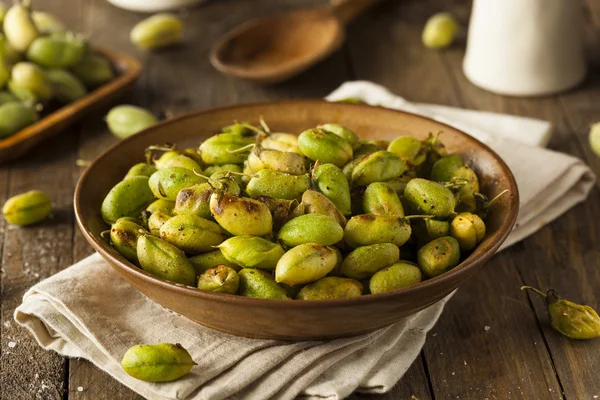 Bio geröstete frische Garbanzo Bohnen — Stockfoto