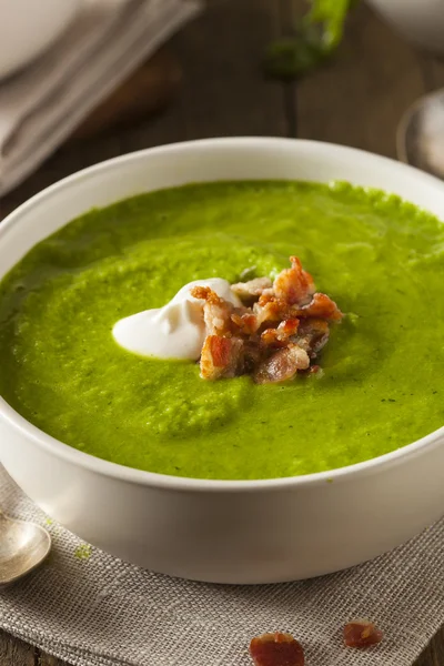 Domácí jarní zelená Hrášková polévka — Stock fotografie