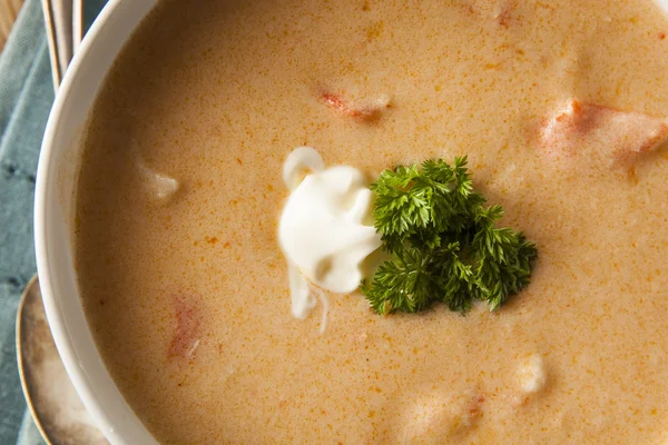 Домашний суп из омаров — стоковое фото