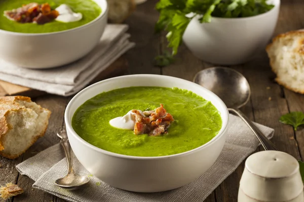 Homemade Green Spring Pea Soup — Stock Image Homemade Green Spring Pea Soup Royalty Free Stock Images