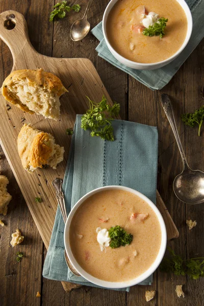 Homemade Lobster Bisque Soup — Stock Image Homemade Lobster Bisque Soup Stock Photo