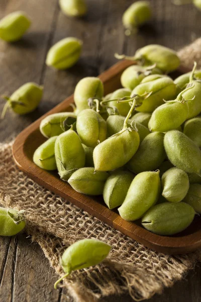 RAW färska ekologiska gröna Garbanzo Bönor — Stockfoto