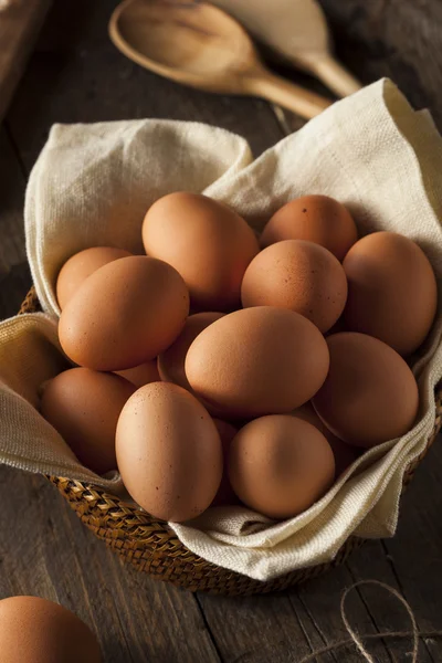 Ovos castanhos orgânicos crus — Fotografia de Stock