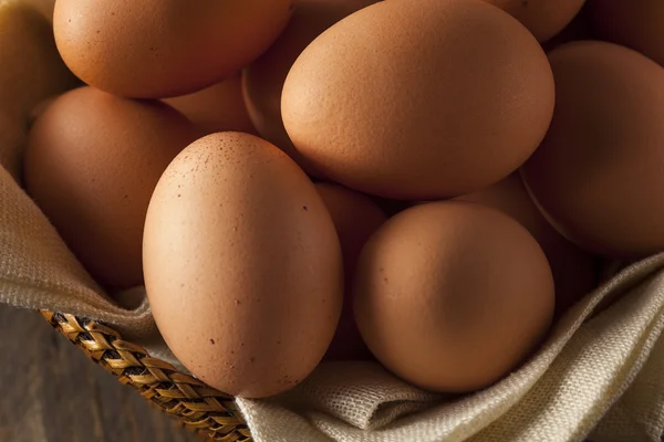 Råa ekologiska bruna ägg — Stockfoto