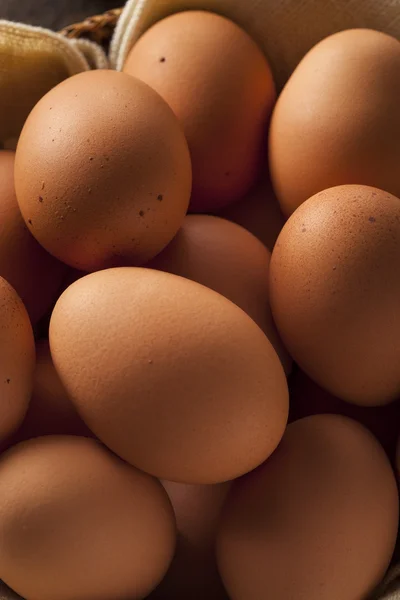 Raw Organic Brown Eggs — Stock Photo, Image