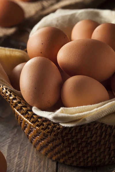 Raw Organic Brown Eggs — Stock Photo, Image