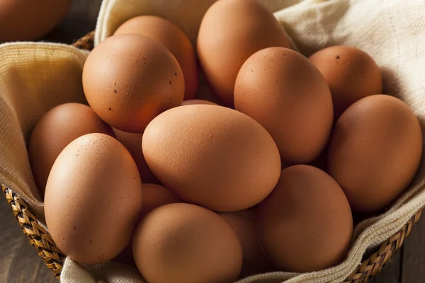 Huevos marrones orgánicos crudos — Foto de Stock