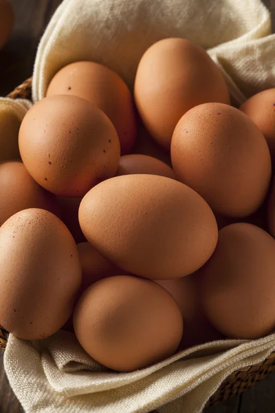 Raw Organic Brown Eggs — Stock Photo, Image