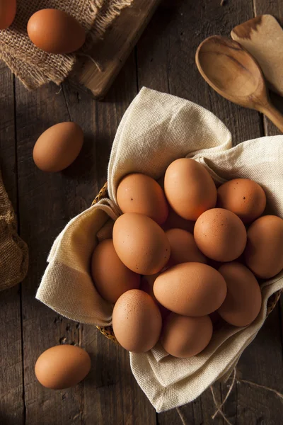 Rauwe biologische bruin eieren — Stockfoto