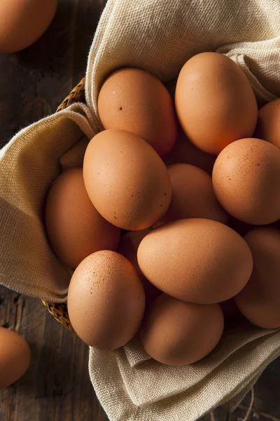 Raw Organic Brown Eggs — Stock Photo, Image