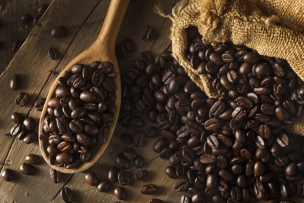 Organické suché pražená kávová zrna — Stock fotografie