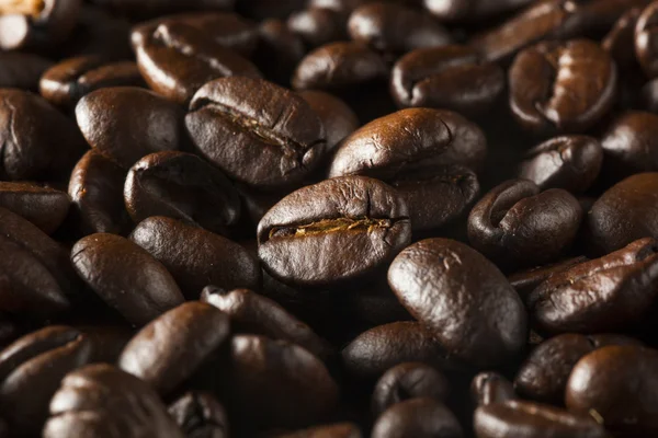 Grãos de café torrados secos orgânicos — Fotografia de Stock