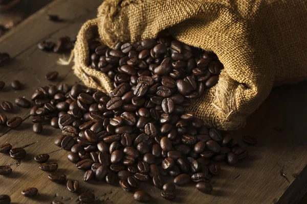 Trocken geröstete Bio-Kaffeebohnen — Stockfoto