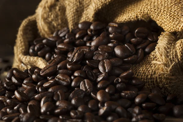Grãos de café torrados secos orgânicos — Fotografia de Stock
