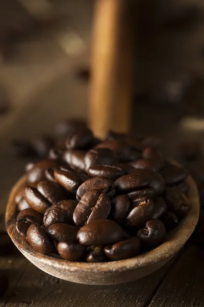 Organic Dry Roasted Coffee Beans — Stock Photo, Image