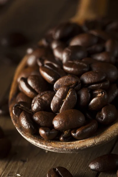 Organic Dry Roasted Coffee Beans — Stock Photo, Image