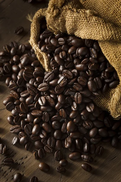 Trocken geröstete Bio-Kaffeebohnen — Stockfoto