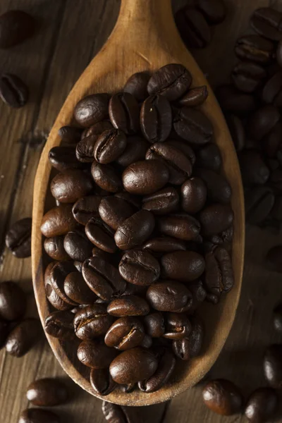 Grãos de café torrados secos orgânicos — Fotografia de Stock