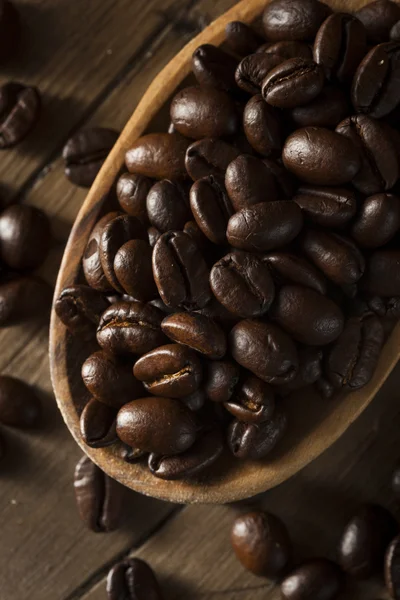 유기 건조 볶은 커피 콩 — 스톡 사진