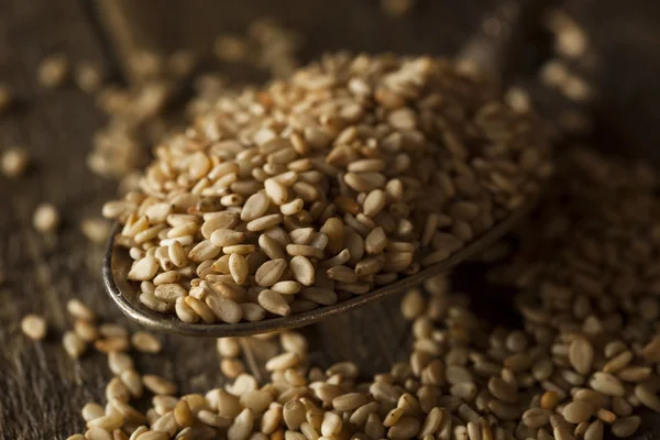 RAW bio Sezamová semena — Stock fotografie