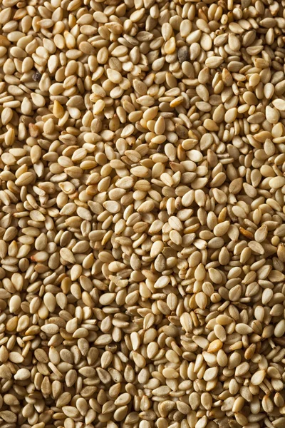 Raw Organic Sesame Seeds — Stock Photo, Image