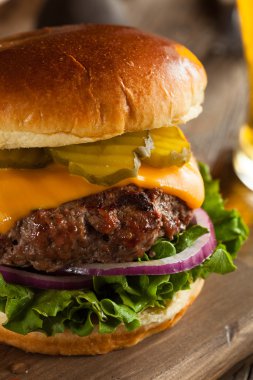 Çimen Fed Bison Hamburger
