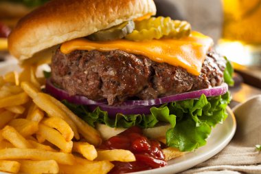 Çimen Fed Bison Hamburger