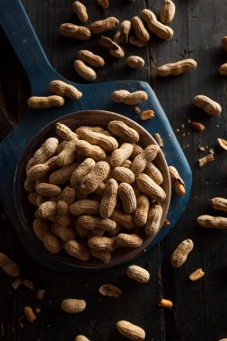 Tuzlu kavrulmuş kabuklu fıstık