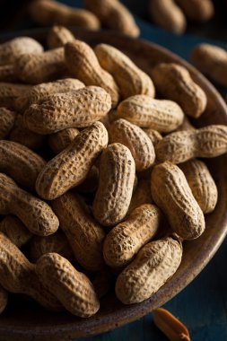 Tuzlu kavrulmuş kabuklu fıstık