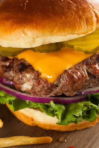 Çimen Fed Bison Hamburger — Stok fotoğraf