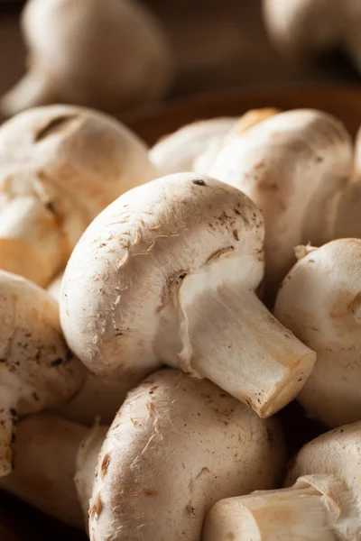 Ruwe organische witte champignons — Stockfoto