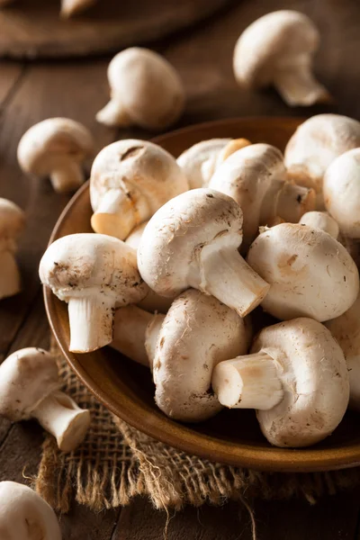 Ruwe organische witte champignons — Stockfoto